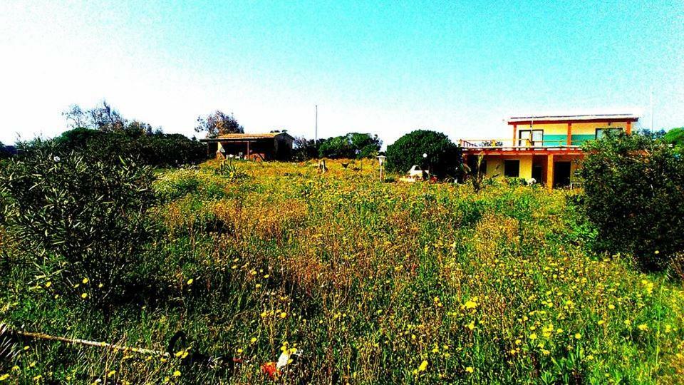 Eco Affittacamere Casa Maica Eco Guesthouse Stintino Εξωτερικό φωτογραφία