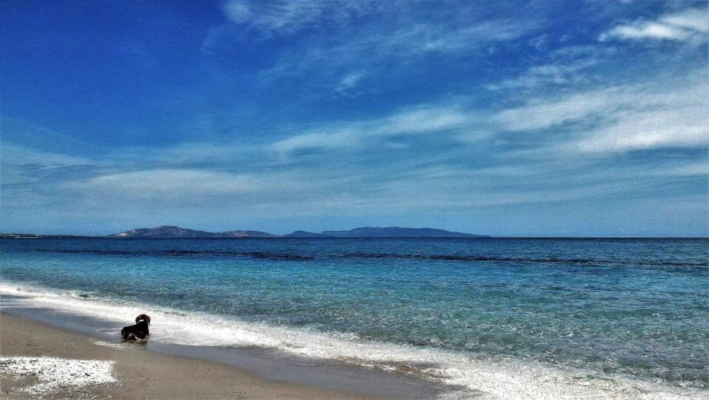Eco Affittacamere Casa Maica Eco Guesthouse Stintino Εξωτερικό φωτογραφία