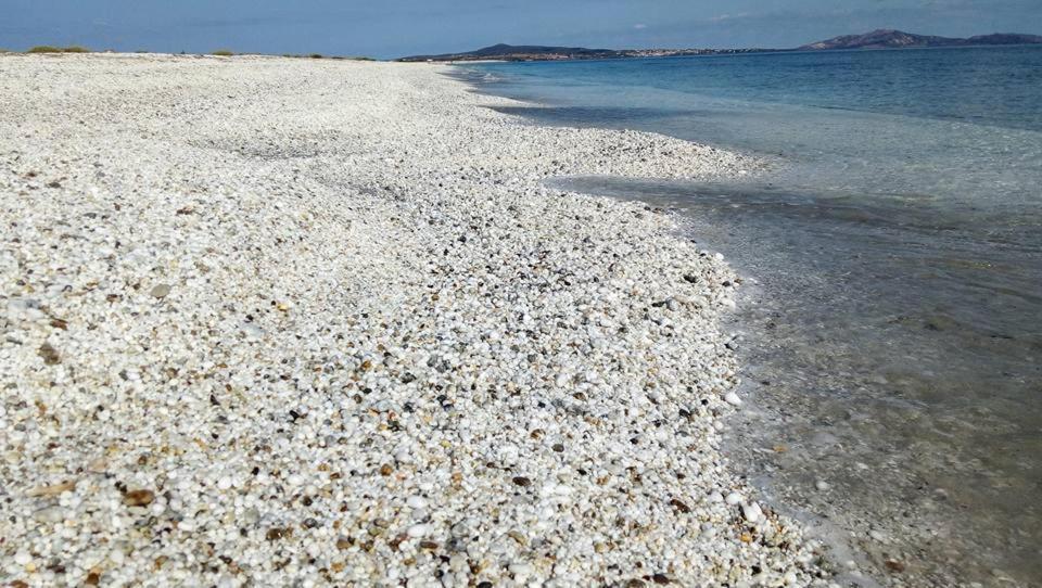 Eco Affittacamere Casa Maica Eco Guesthouse Stintino Εξωτερικό φωτογραφία